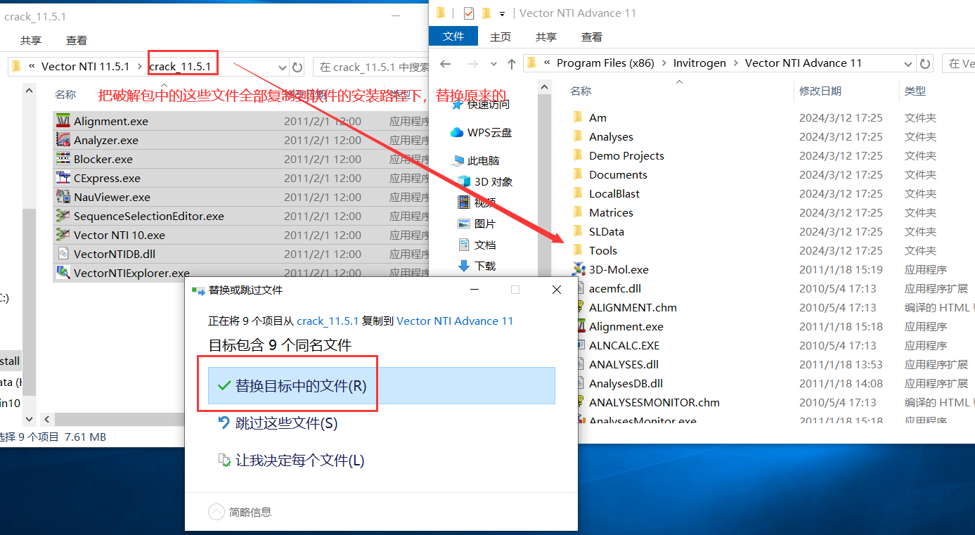 Vector NTI 11.5.1激活