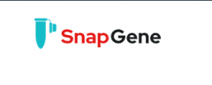 <strong>SnapGene破解版6.0.2中文版下载安装教程</strong>