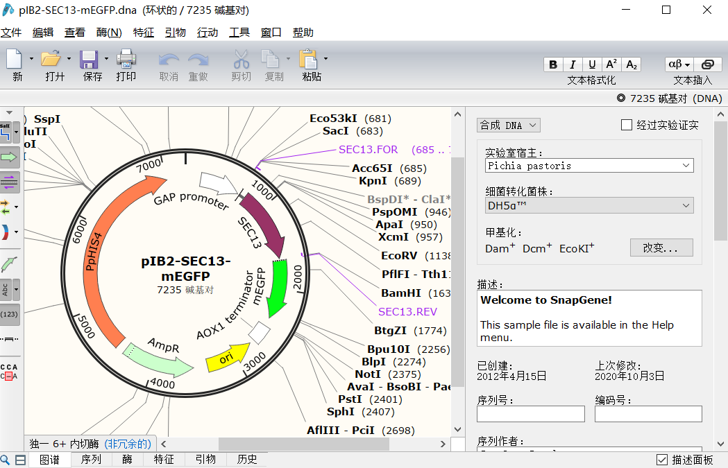 SnapGene 6.0.2