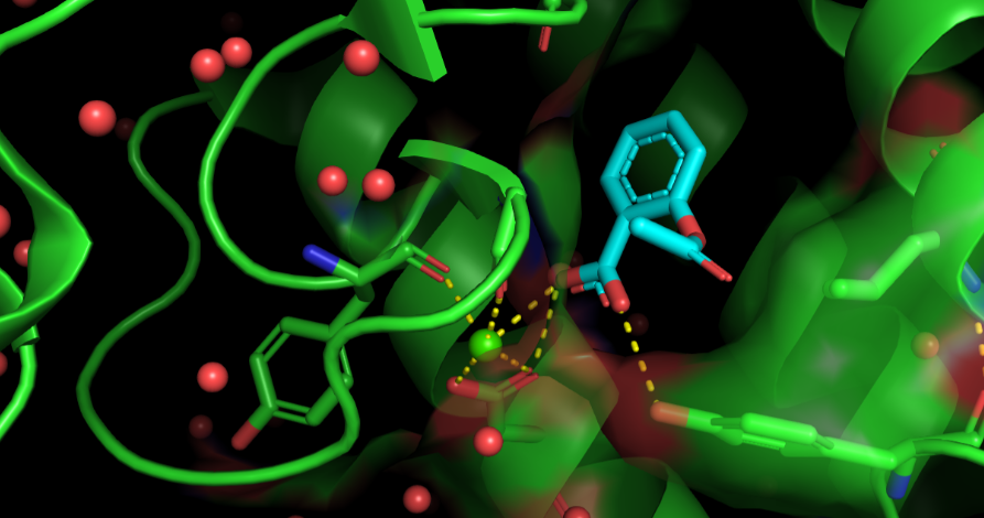 PyMOL 2.5.7破解版