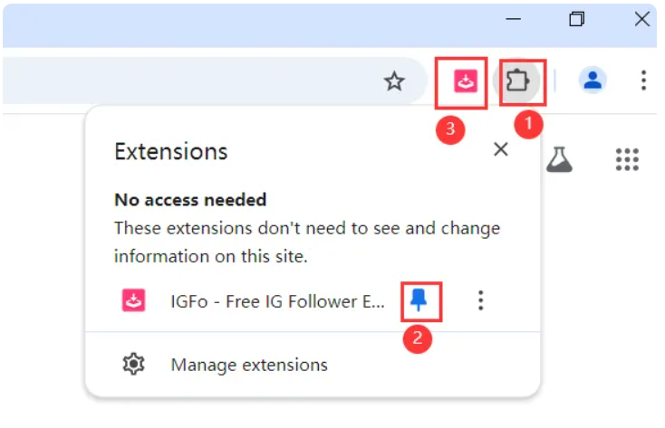 Pin IGFo Extension