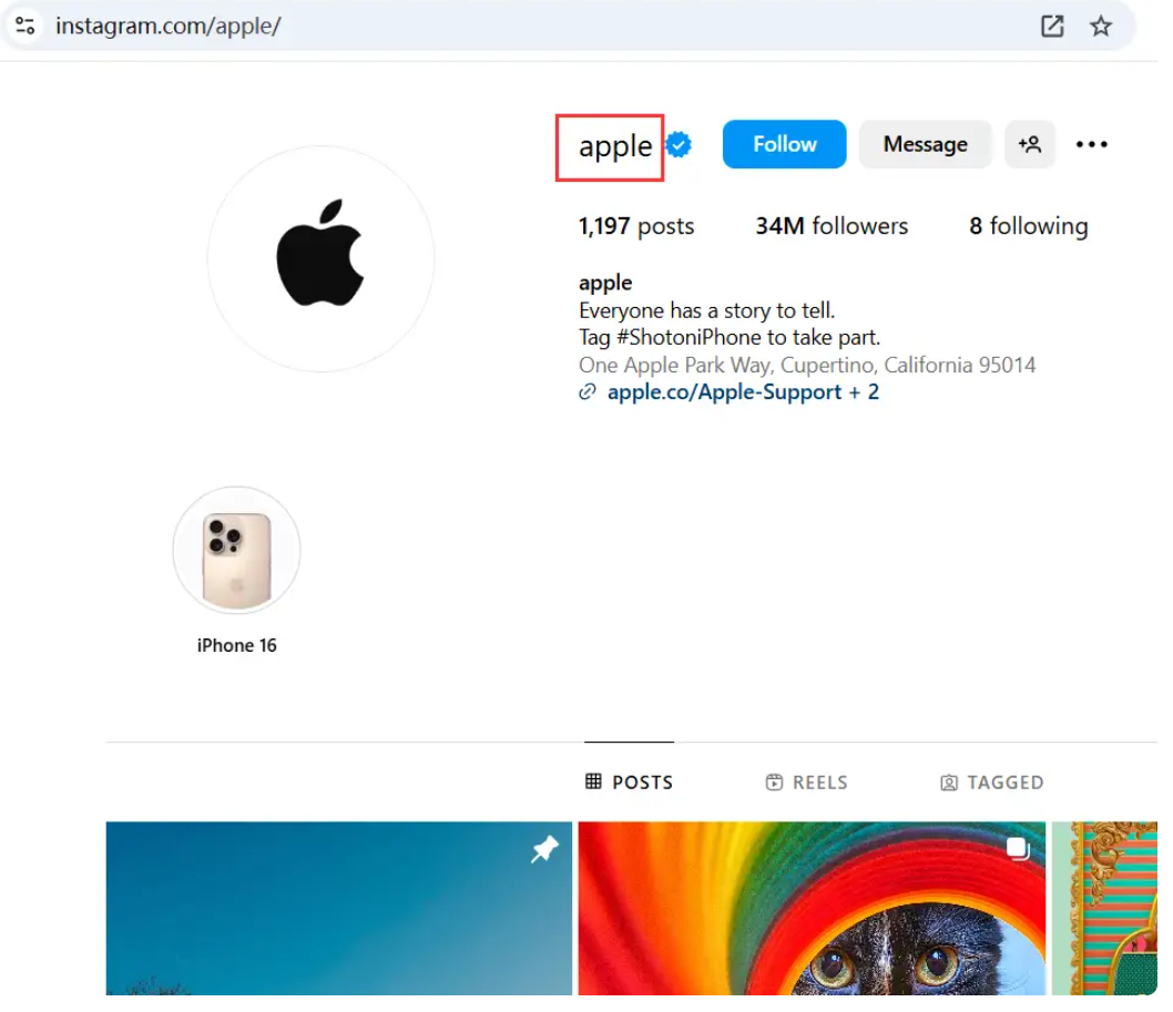 Get Instagram Username