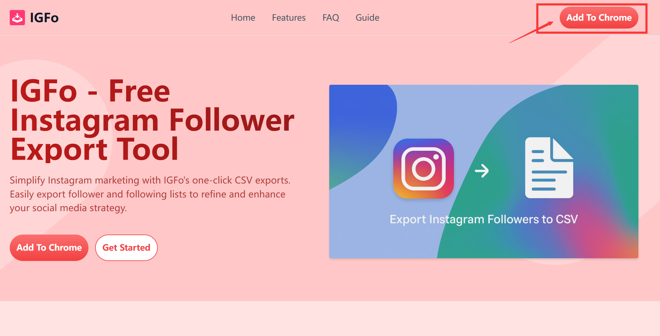 IGFoExport